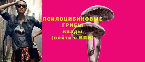 ПСИЛОЦИБИНОВЫЕ ГРИБЫ Бугульма
