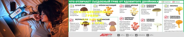 кокаин VHQ Бородино