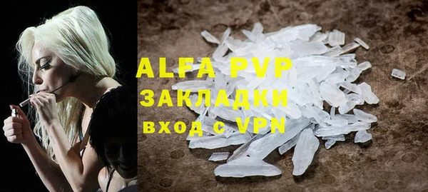 PSILOCYBIN Бронницы